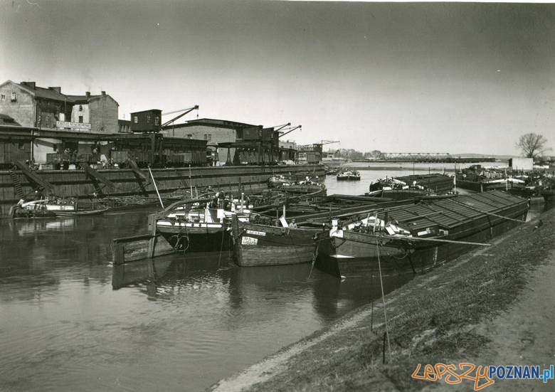 Port nad Wartą Foto: MKZ Port nad Wartą