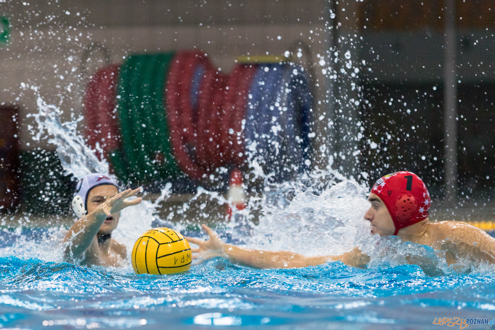 Waterpolo Cup 2019 – Hornets Koszyce – Kszo Ostrowiec Świętokr