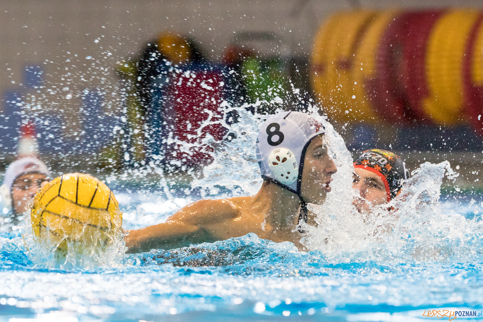 Waterpolo Cup 2019 – Hornets Koszyce – Kszo Ostrowiec Świętokr
