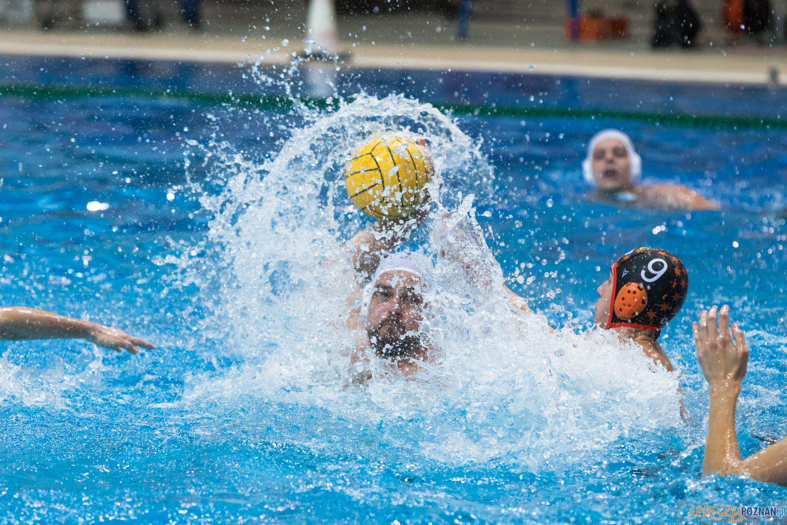 Box Logistics Waterpolo Poznań – KSZO Ostrowiec Świętokrzyski