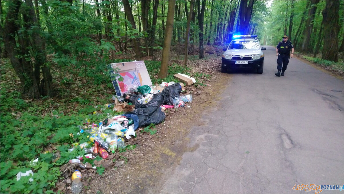 Wrzesińska - śmieci w lesie Foto: Straż Miejska